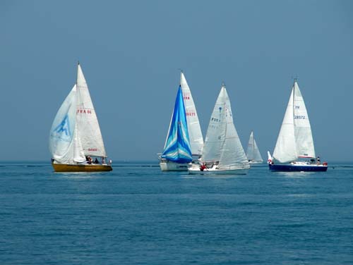 DSCN0971