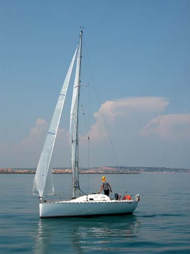 DSCN0981