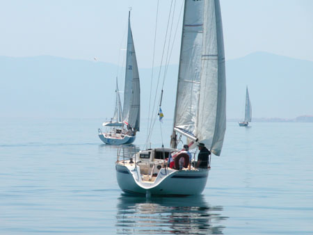DSCN0239