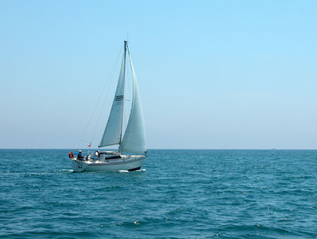 DSCN0367