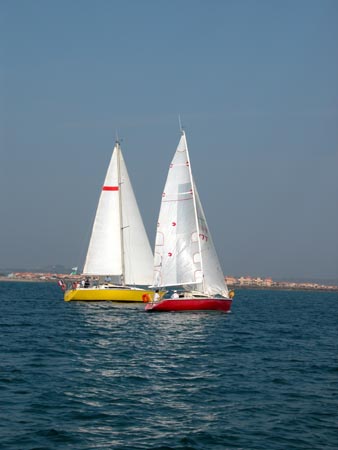 DSCN6026