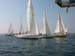 DSCN6097